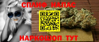 индика Бузулук
