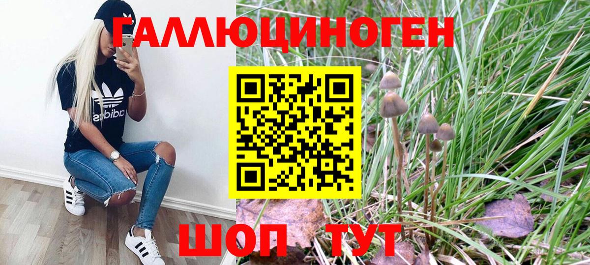 Галлюциногенные грибы MAGIC MUSHROOMS  Галлюциногенные грибы GOLDEN TEACHER  Тара  Вход с VPN 